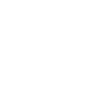 Icon of a telephone.